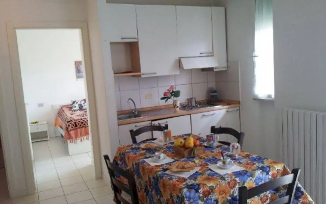 Pet Family Camping Cortina