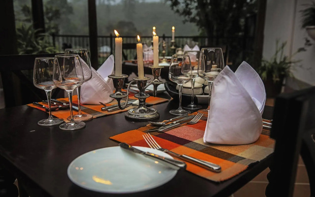 Dickoya by Zinc Journeys