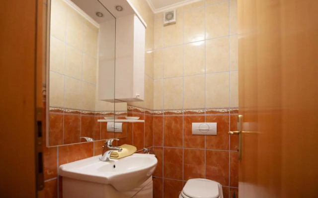 AP MIRKO - 3 bedrooms apartment in city center