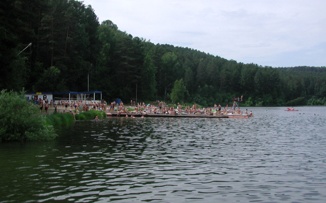 Кедровый бор