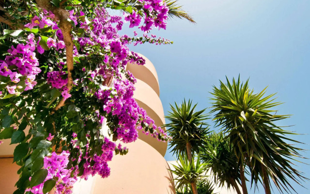 Apartamentos Estanques