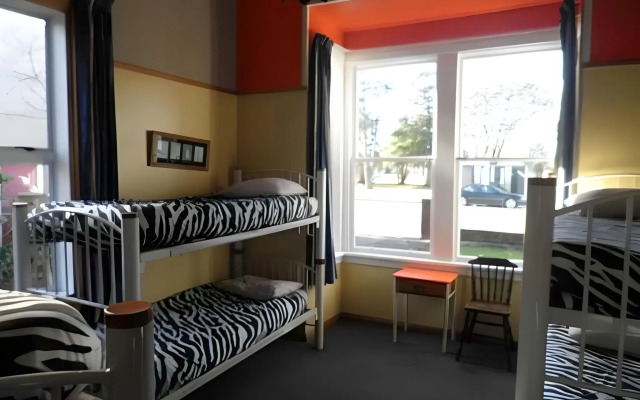 Bazil's Hostel & Surf School