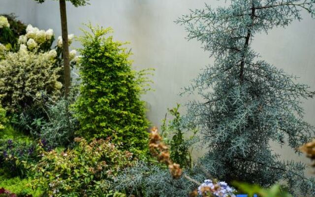 Zhangjiajie Xiwu Homestay