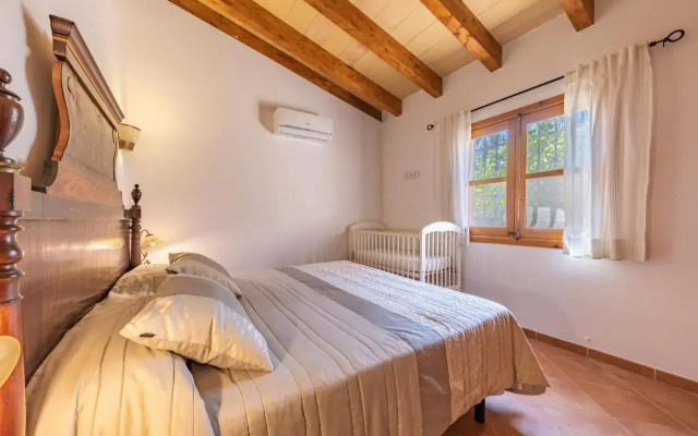 Selva-3834 Mallorca