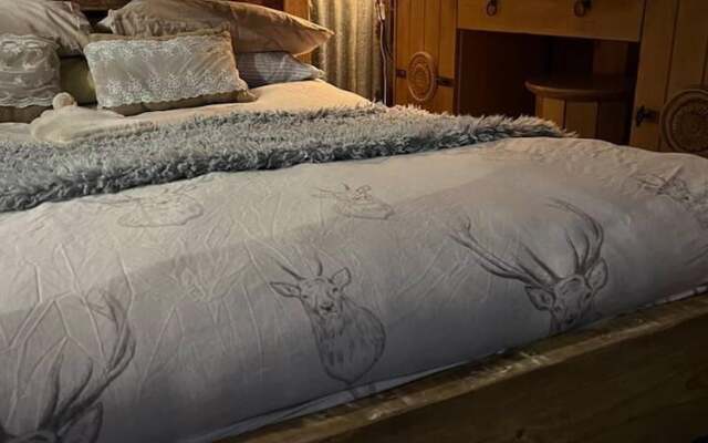 Bridie Rose - hot tub Extra Charge Exotic Animals