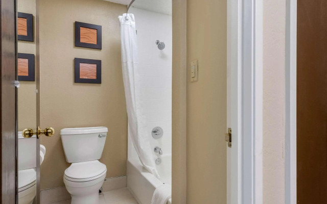Comfort Inn South
