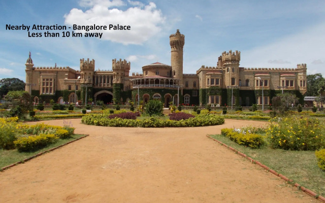 Capital O 68975 The Blueberry's