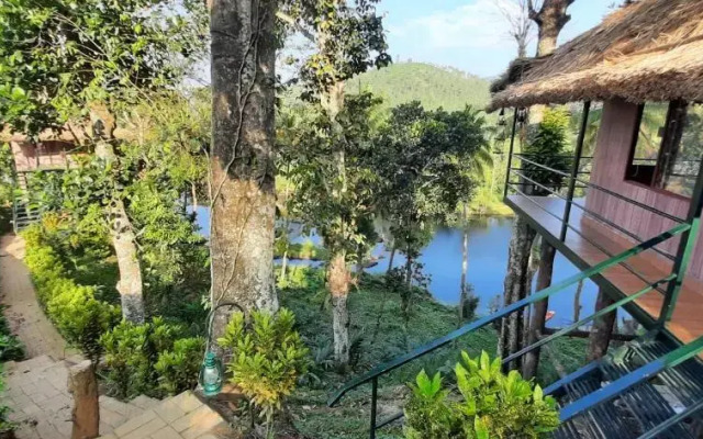 Noah's Nest Tree House