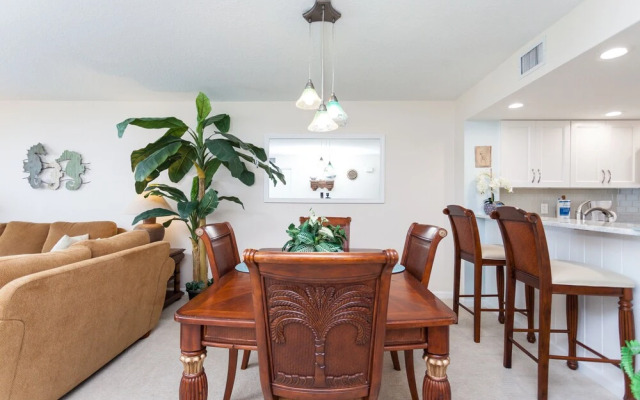 Barefoot Trace by Vtrips