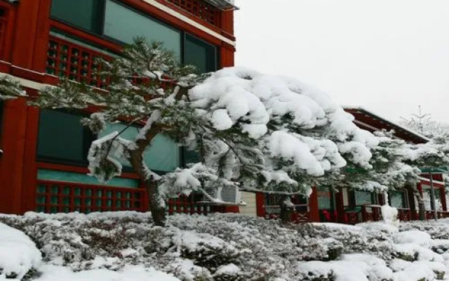 Pyeongchang White Windmill Pension