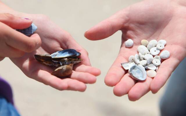 Villa in Breskens Near the Beach