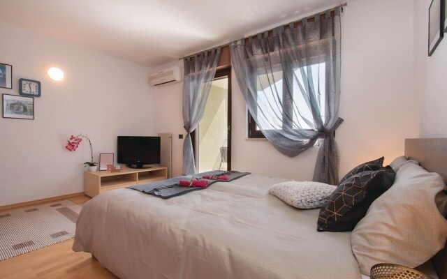 Nice Apartment in Liznjan With Wifi