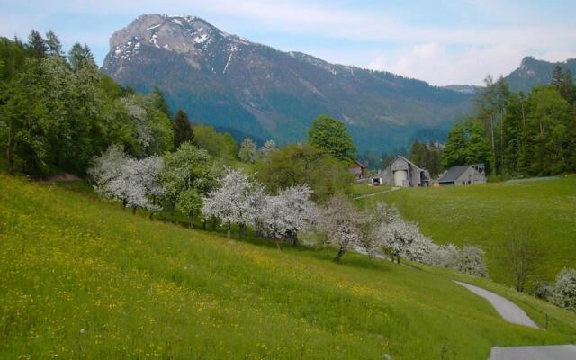 Landhaus Knödl-Alm