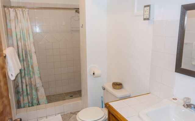 Rodney Heights Grande Splendour