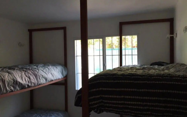 Hostel Dream and Trip