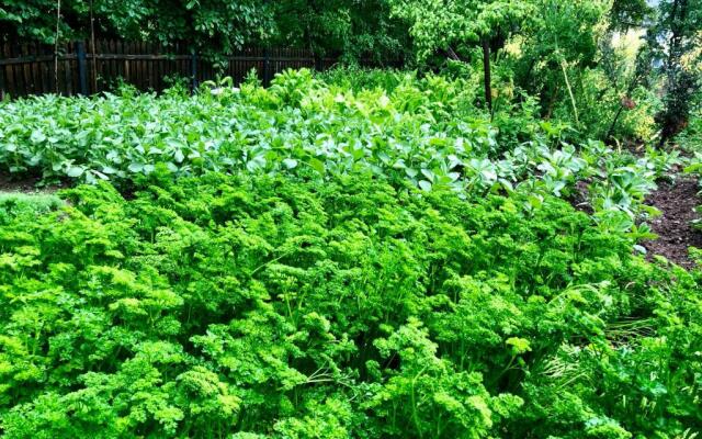 Villa Greta - Charm Of Tradition...