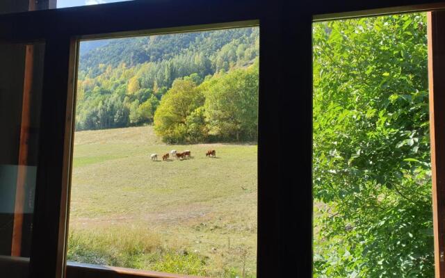 Dúplex con Jardin comunitario en Àreu Pallars Sobirà