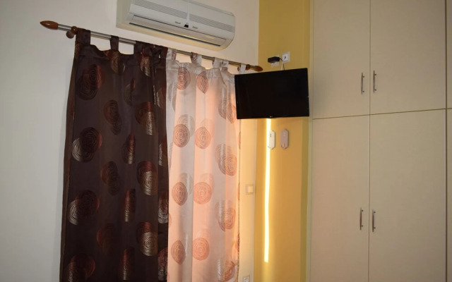 Astrantia-Adults Only