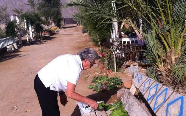 Habiba Organic Farm