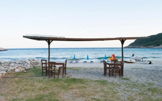 Blue Dreams Thimonia