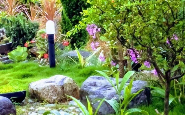 1969 Meters Square Seed B&B