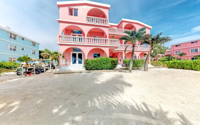 Saponaria 21-22 at Caribe Island Gold Standard Certified