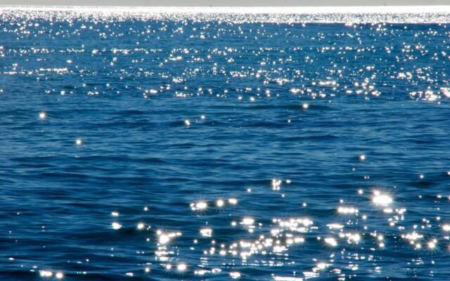 Escale au soleil Hôtel et Appartement