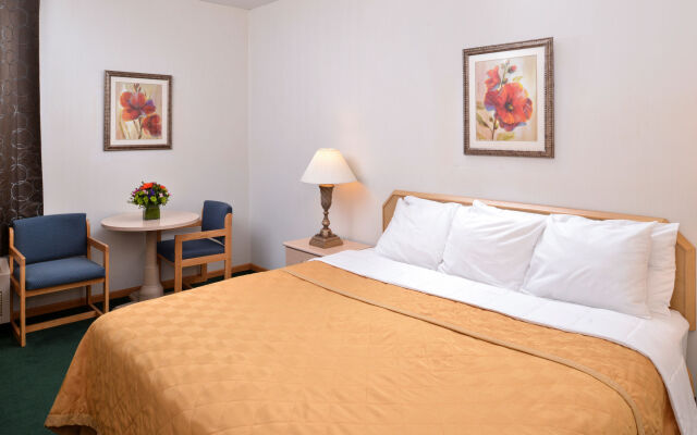 Bellis Inn