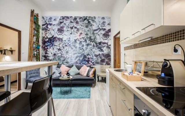 A9 Houseleek Astoria