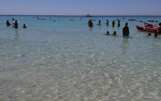Don Alfonso