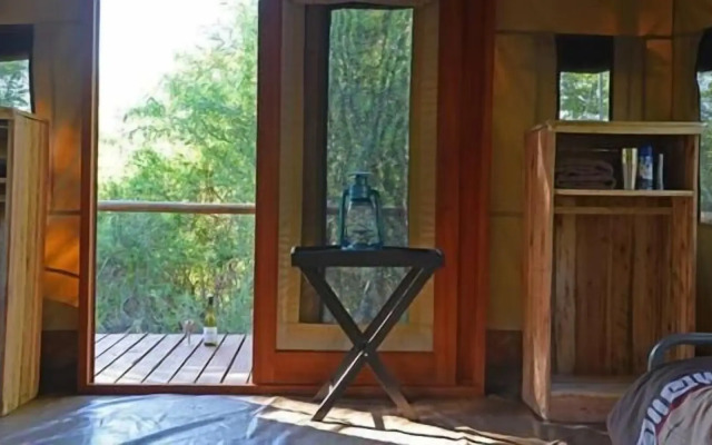 Wild Olive Tree Camp