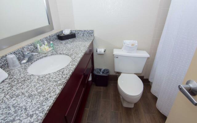 Holiday Inn St Petersburg N - Clearwater by IHG
