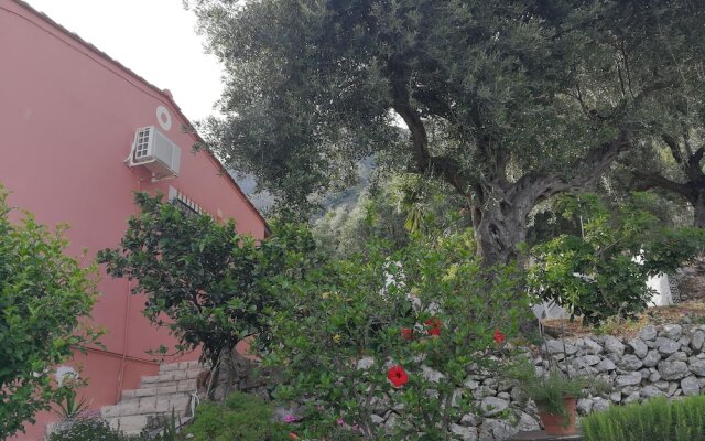 Sunrise View Apartments