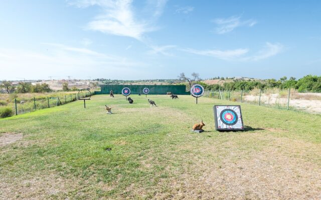 Boavista Resort - Lote 142