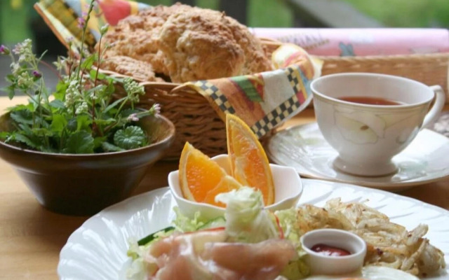 Alpine Inn Mizushiro