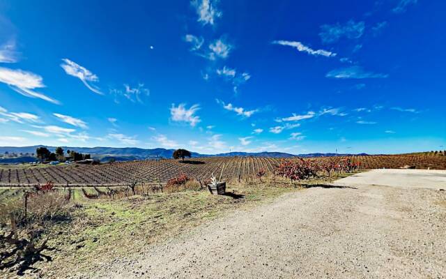Wine Enthusiast Escape - 3 Br Home