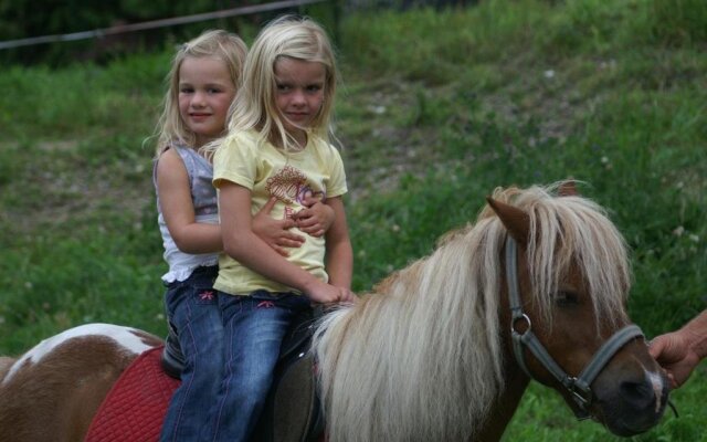 Kassnhof - der Reit- und Ponybauernhof