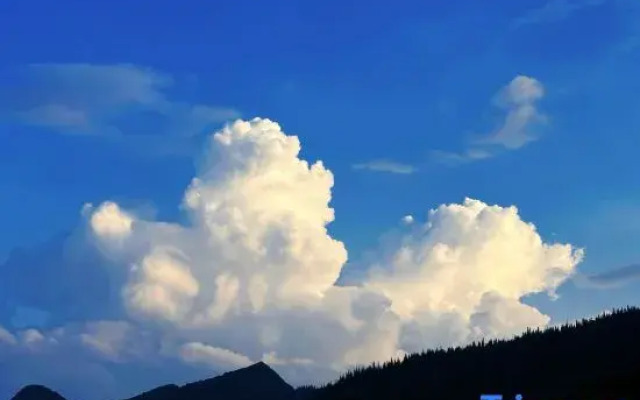 Wanfeng Forest Xihe - Mountain House B&B