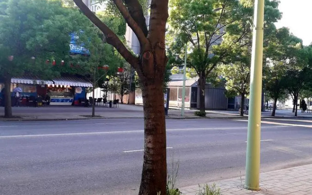 Centrum apartman