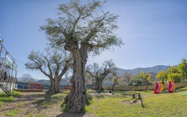 Hostal y Apartamento Rural Los Naranjos