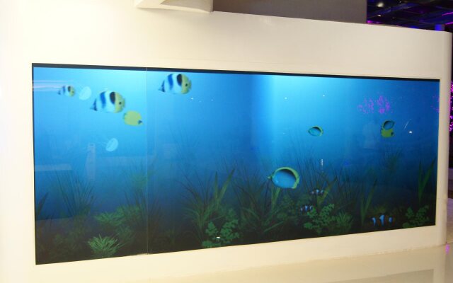 Clownfish Resort