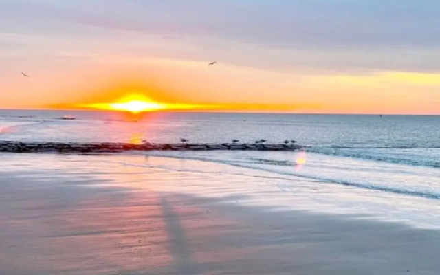 Studio in Wenduine Near the Beach