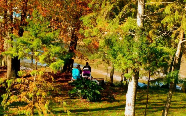 Cabaña Sol de Medianoche Delta Tigre