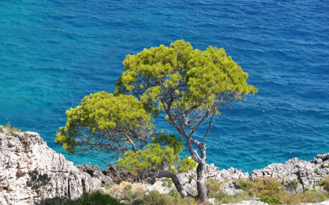 Touring Club Italiano Isole Tremiti
