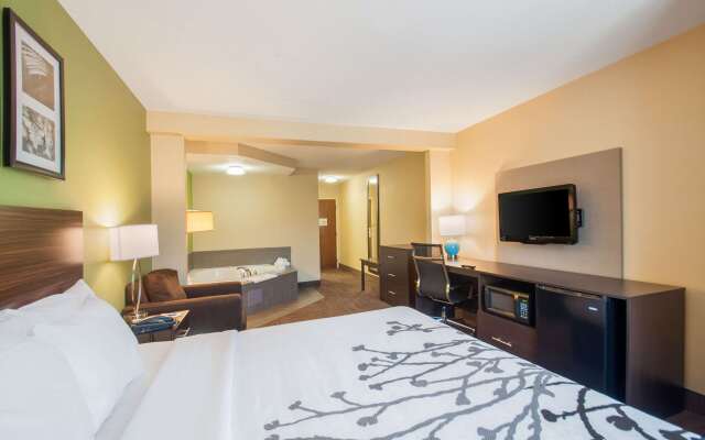 Sleep Inn & Suites Dover University Area