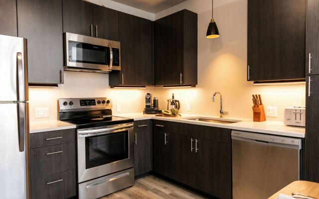 HOLT - Modern, Newly Renovated 2BR in Willits Town Center