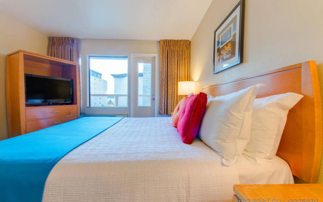 Staypineapple, University Inn, University District Seattle
