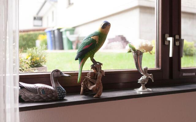 Sunny Flat in Bad Driburg With Garden