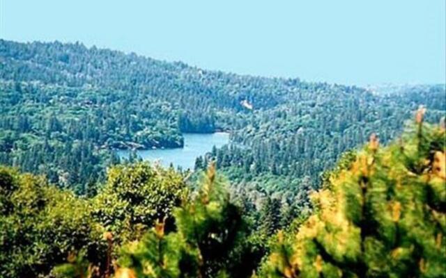 Sierra Sun Cloud Inn - Colfax