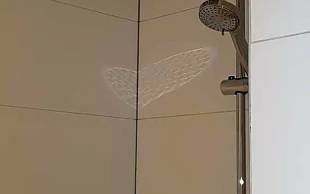 B&B de Admiraal Texel